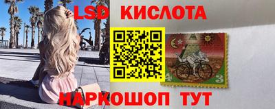 эйфоретик Аша